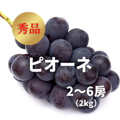 ぶどう　ピオーネ　秀品　2～6房　計2kg