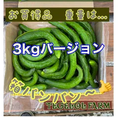 キュウリ☻スマイル品☻　3kg バージョン宮崎県産 食べれる美容液