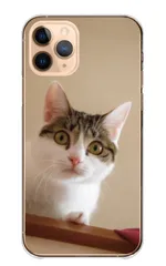iPhone15plus ケース カバー iPhone15 プラス スマホケース ハードケース 猫 ネコ ねこ 三毛猫 みけねこ ハチワレ トラネコ 写真 可愛い かわいい ペット あにまる カラー05