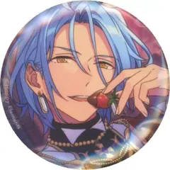 【中古】バッジ・ピンズ HiMERU 「あんさんぶるスターズ!! テーマスカウト缶バッジ [2022 SPRING] -Idol Side-」