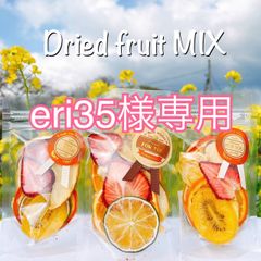 【eri35様専用】ドライフルーツMIX10袋