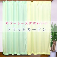 フラットレースカーテン カラーレース グリーン イエロー ヒダの無いミラーレース 間仕切りカーテン UVカット 洗濯機OK 日本製 1枚入り