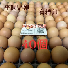 平飼い卵 80個3/10常温発送 平飼い卵80個3/3常温発送 tamago003t-30-01.jpg