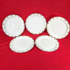 【美品・セット格安】Richard Ginori リチャード・ジノリ 大皿 5枚セット イタリア製 希少デザイン 《NO 00789》