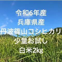 2025年最新】丹波石の人気アイテム - メルカリ