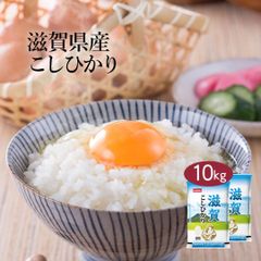 米 精米 滋賀県産 こしひかり 10kg (5kg×2) 令和6年産 お米 白米 おくさま印 国産 食品 ギフト 引っ越し 挨拶 出産 内祝い 母の日 父の日 お中元 お歳暮 結婚 快気 還暦 香典返し お年賀 送料無料