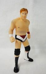 ＳＲ全日本プロレス ファンが選んだ人気レスラー+馬場さんビクトリーＶer ジョニー・エース
