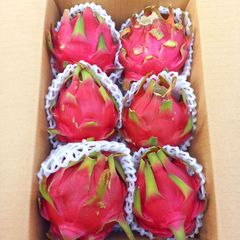 ドラゴンフルーツ (赤) 約１.５kg　沖縄県産