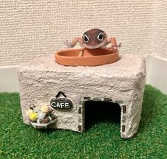 カフェ風　ウェットシェルター