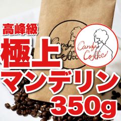 Candy Coffee　【頑張る、その隣に・・】　アイス　コーヒー豆　【キャンディコーヒー】　

【濃厚ショコラショコラ】 CandyCoffee 大好評　コーヒー豆