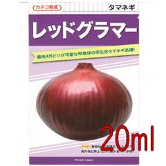カネコ種苗　レッドグラマー　玉葱　２０ｍｌ
