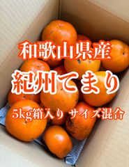 大感謝祭！お値下げしました！和歌山県の新品種【紀州てまり】柿 M〜3Lサイズ混合訳アリ 5kg箱入り　とってもオススメです！柔らかい柿好きの方に♪ 送料無料　即決価格