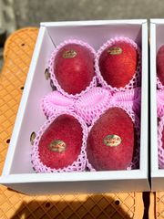 沖縄県産マンゴー 4玉 箱込み2.1〜2.3kg (1玉500g前後)