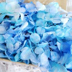 ゆめあじさい*.❁アイスブルー　花材　プリザーブドフラワー　加工花材