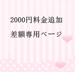 追加送料専用ページ