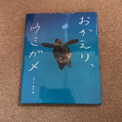 おかえり、ウミガメ　写真 文　高久至