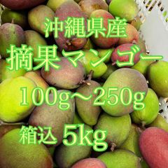 沖縄県産　摘果マンゴー　箱込5Kg