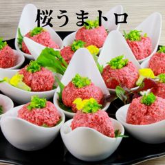 【馬肉専門店 菅乃屋】桜うまトロ(馬肉ネギトロ) 300g