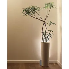 【 新品 未開封 】 大光電機 ＬＥＤスタンドライト DXL-81408C [電球色 /LED] 未使用 送料無料