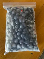 ブルーベリー　600g 常温メルカリ便発送 ブルーベリー 600g 常温メルカリ便発送 ブルーベリー 600g 常温