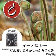 愛媛県産 ぜんまい 柔らかしっかり手もみ バシもきちんと処理済 Mサイズ 350g 【M25】