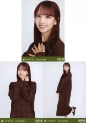 【超稀少】乃木坂46 生写真 2023 Christmas 佐藤楓 コンプ 超稀少】乃木坂46 生写真2023 Christmas 佐藤楓コンプ|mercari