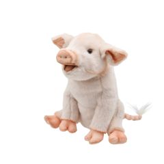 Item thumbnail for item be0070bd-8c12-4cfe-9a5f-29fe5eb740fa