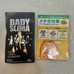 BADY SLIMA バディスリマ 120粒入