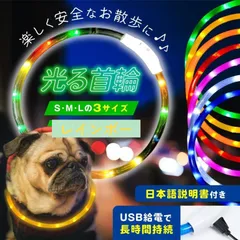 光る首輪 犬 散歩 ライト レインボー 大型 小型 led おしゃれ 夜 猫