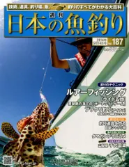 週刊　日本の魚釣り　まとめ売り　大量確認後再度ご連絡させて頂きます