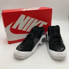 要状態確認⚠️最終価格 ナイキ ズームフライト95 ブラック メタリック