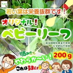 ベビーリーフ　☆農薬や化学肥料は使用しておりません　埼玉県産　約２００ｇ