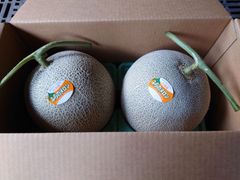 農家直送・贈答用】富良野メロン 4玉(赤肉セット、 1玉2.0kg以上の大玉