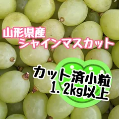 シャインマスカット山形県産 ウラウララ様専用出品-