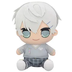 新品 カラフルピーチ おおきな BIG ぬいぐるみ からぴち Vtuber 約30㎝ (ヒロ)