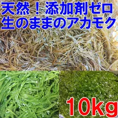 生のまま】のアカモク １０ｋｇ完全無添加 小分けして冷凍しても良し！生のギバサ 宮城県産 他に1k