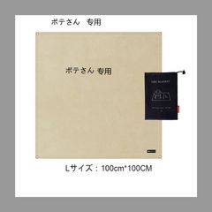 Item thumbnail for item 599d18cb-b82b-4b0f-b74c-5518e7a2e245