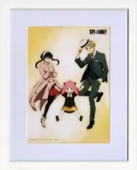 【中古】原画イラストボード 付属品付)SPY×FAMILY Amazon.co.jp限定 全巻購入特典描き下ろしキャラファイングラフ