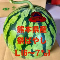 【産地直送・大玉すいか赤果肉・２９日以降発送】熊本県産　大玉スイカ　祭ばやし（L:6～7㎏未満）１玉　正規品　秀品