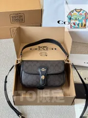 【今日WTO】Coach Hadley Crossbody Bag / コーチ ハドリー クロスボディ バッグ / 送料無料！在庫限定価格-WTO輸入2-AH31