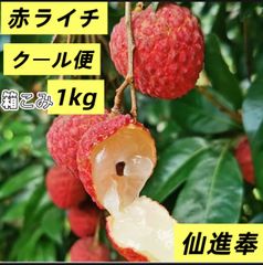 箱こみ1kg‼️クール便‼️仙進奉荔枝　ライチ‼️生ライチ‼️赤ライチ‼️フォロワー様限定100円引きクーポン配布中‼️ 果物　フルーツ