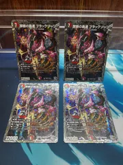 美品　ブラックゾーン　銀　4枚セット 2025年最新】禁断の ブラックゾーンの人気アイテム - メルカリ