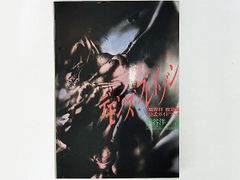 【送料込】SFC デモンズ・ブレイゾン 魔界村紋章編 公式ガイドブック アスペクト 攻略本