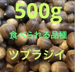 食べられる椎の実　スーパーフード【ツブラジイ】500g