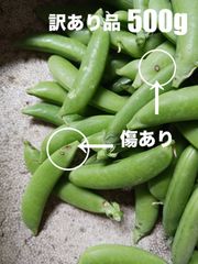 新鮮 大分県産ハウスきゅうり （胡瓜 キュウリ - メルカリ