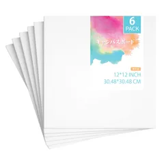 【人気商品】張りキャンバス 絵画ボード ボールドキャンバス アクリル絵の具 油絵 6枚/セット 絵画 304x304mm 中目 油彩・アクリル兼用 キャンバスボード 描画 キャンバス 画布