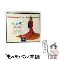 希少品 イタリア ALDO TURA/アルドトゥーラ 仔山羊革張り