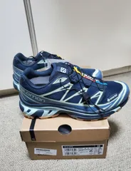 2024年最新】salomon xt-6 23cmの人気アイテム - メルカリ