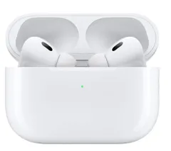 Apple AirPods Pro 本体  美品 新品ケース カラビナ