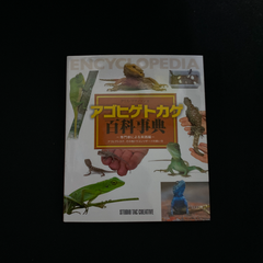 アゴヒゲトカゲ百科事典